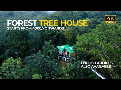 Forest Treehouse in Munnar | Pool Resort | Private Waterfall | Vlog#94