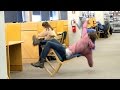 Humorous Accidents and Reactions