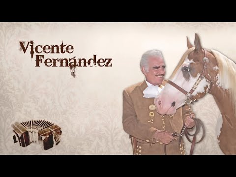 Vicente Fernández - Mano a Mano (Letra Oficial)