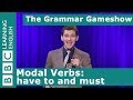 Understanding 'Have to' and 'Must'
