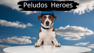 Los Peludos Héroes que Siempre Quedarán en la Historia 🐾✨