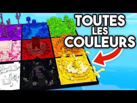 J'ai construit un biome de TOUTES les COULEURS sur Oneblock Minecraft