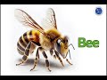 Quiz về Video Hướng Dẫn