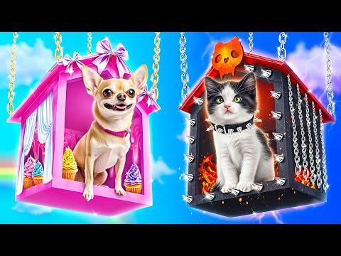 Cachorro Bom vs Gato Mau! Como Fazer Casas para Animais de Estimação!