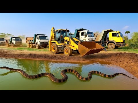 JCB 3DX 🟡 Backhoe Loading Trucks, Suddenly Giant Snake Found In Roadside Pond, All Work Stopped.