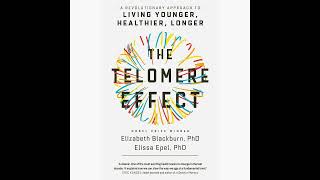 The Telomere Effect Summary | Elizabeth H. Blackburn