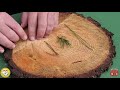 Tree Leaf Characteristics and Identification
