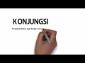 Understanding the Video Tutorial