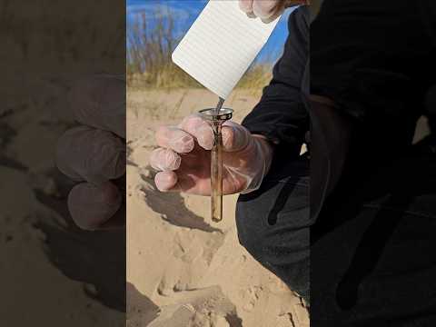 DIY Magnetic Fluid from Beach Iron. Venom?
