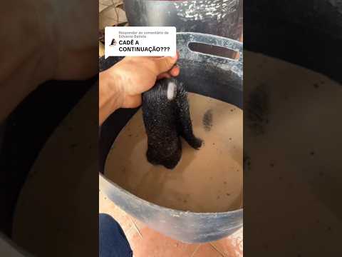 Pelando couro na cinza diluída na água