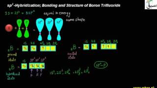 sp2-Hybridization; Bonding and Structure of Boron Trifluoride