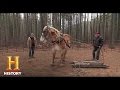 Training Dusty: A Crash Course in Hauling