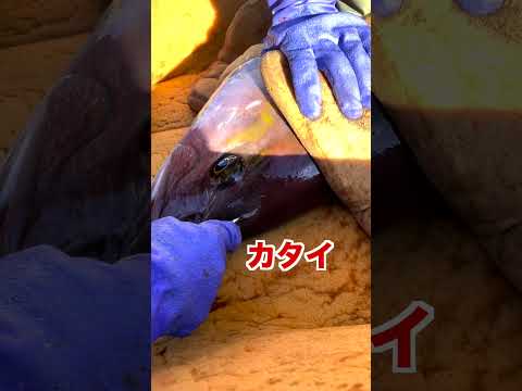 当たり前じゃない大きさ