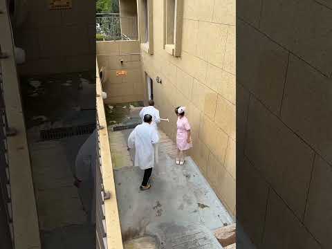 They Tried to Catch Himโฆ But He Climbed the Wall Like Spider-Man!