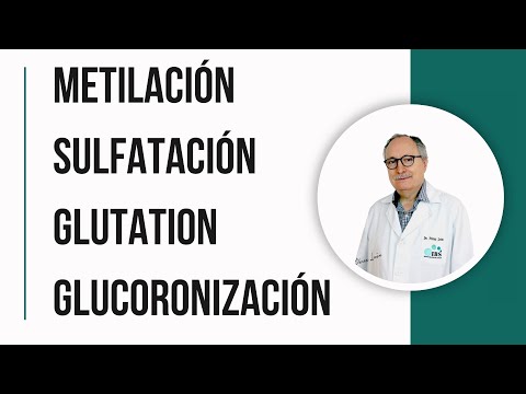 EFECTOS EN LA SALUD: Metilación, Sulfatación, Glucoronización, Glutation - Dr. Domingo Pérez León