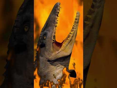 Porque se Extinguio el MOSASAURUS?