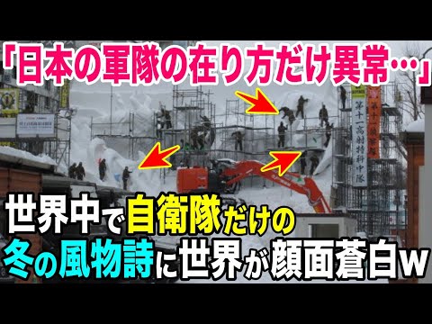 【海外の反応】「何なの⁉︎このお祭りは…」北海道の冬の風物詩に世界が驚愕！【日本のあれこれ】