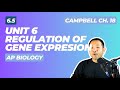 Gene Expression and Regulation Concepts