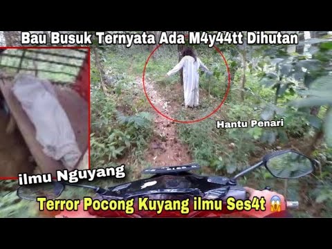 RITUAL KUYANG BUSUK‼️ Dihadang Hantu Penari Ritual Pesugihan Badan Kuyang 😱 Hutan Apa ini 😱😭