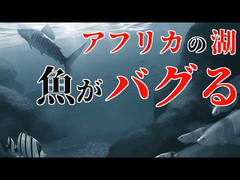 【雑学】アフリカの湖で、あり得ないくらい○○が繁殖している