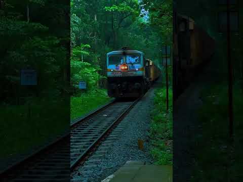 #explorepage #explore #nature #nilambur #railway #reels #instagram #viralvideo #trending #monsoon