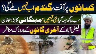 Wheat Crises In Pakistan | ٖFarmers In Trouble | Wheat Price Hike | Flood In Pakistan | Heavy Rains