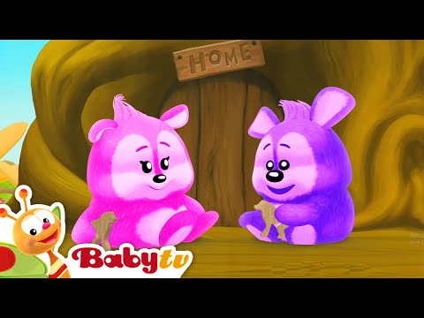 En el Mundo Animal | ¡Descubre datos curiosos sobre los babuinos! 🐒 @BabyTVSP