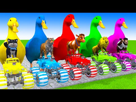 5 Giant Duck Cartoon,Cow,Elephant,Tiger,Lion,Dinosaur,Paint Wild Animals Crossing Fountain Animation