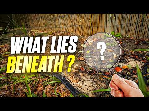 Buried For Months: What We Found Under This Is DISGUSTING!