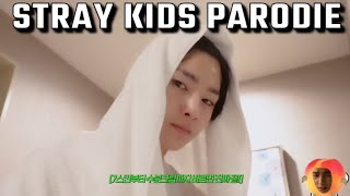 Changbin schlägt Seungmin! German StrayKids Parody | SKZ Parodie