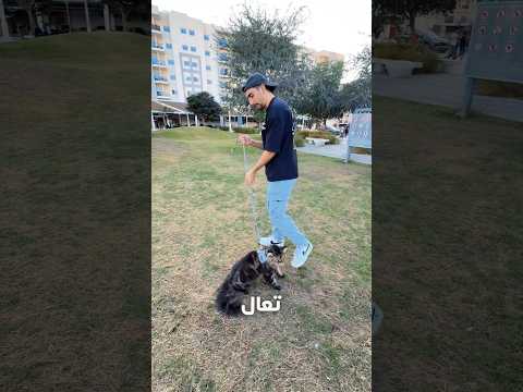 اشتريت صدرية لقطتي
