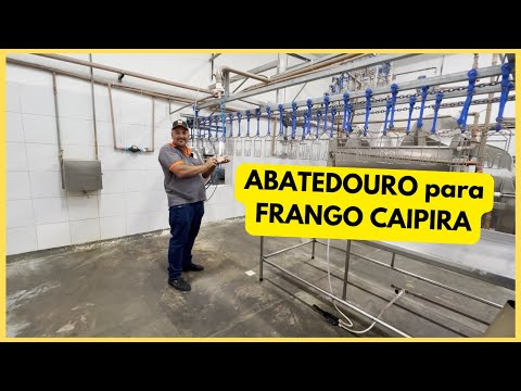 ABATEDOURO de PEQUENO PORTE para AVES CAIPIRAS