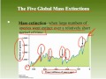 Mass Extinction and Fossil Record
