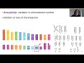 Chromosome Abnormalities and Karyotype Analysis