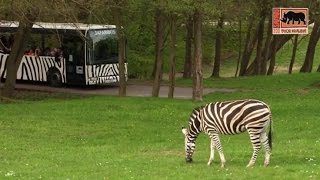 Zoo Dvůr Králove, Tschechien