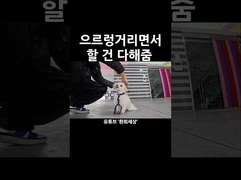 으르렁거리면서 할 건 다해줌