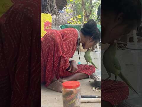 எவ்வளவு அழகு 💚#soundharya #tribalpeople #ytshort