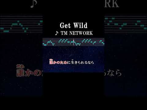 アスファルトタイヤを切りつけながら暗闇走り抜ける #カラオケ #歌詞 #onvocal #本人ボーカル #getwild #tmnetwork #アニメ #cityhunter #ed #1987