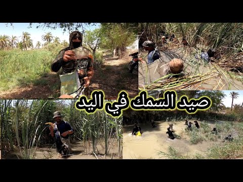 صيد السمك في اليد