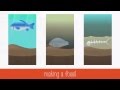 Exploring the Evidence for Evolution