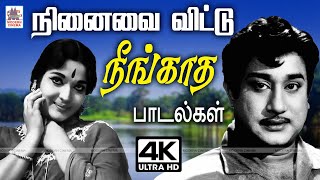 Tamil  Old Songs ஆண்டு பல கடந்தும் ரசிகர்களின் நினைவை விட்டு நீங்காது இன்றும் இடம் பிடித்த பாடல்கள்