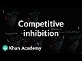 Enzyme Inhibition Quiz