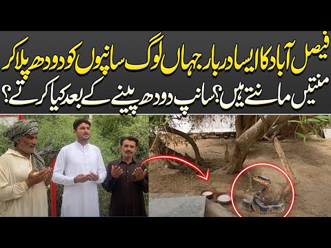 Faisalabad Ka Aisa Purisrar Darbar Jahan Sanp Doodh Peny Aty Hain | Haqeeqat Kia?