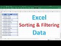 Excel Data Sorting and Filtering Techniques