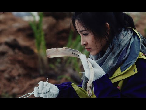 胆小者看的恐怖电影解说：分分钟带你看完国产恐怖电影《七月半3：灵触第七感》