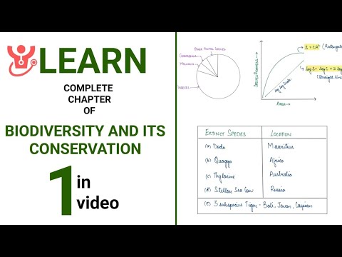 Biodiversity and Its Conservation || NEET 2025 Biology Single Shot Video || Class 12 NCERT Biology