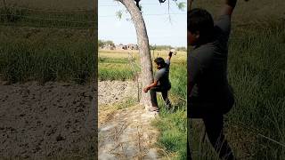 देख गई तो गड़बड़ हो जाएगा #shortvideo #comedy #shorts #Suman Bhauji