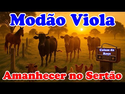 📟Radinho de Pilha - MODÃO SERTANEJÃO RAIZ #Amanhecer no Sertão - Hora da Viola Caipira