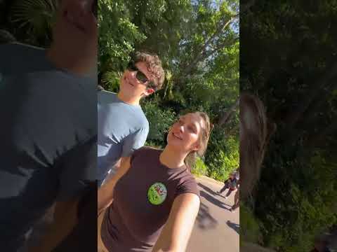 STOP SLEEPING ON ANIMAL KINGDOM