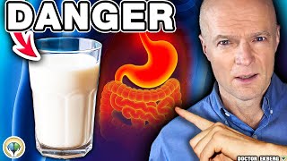 Top 10 Most Harmful Foods That Destroy Your Gut!